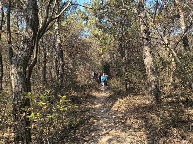 南京第二次到镇江武岐山空青山郊野徒步