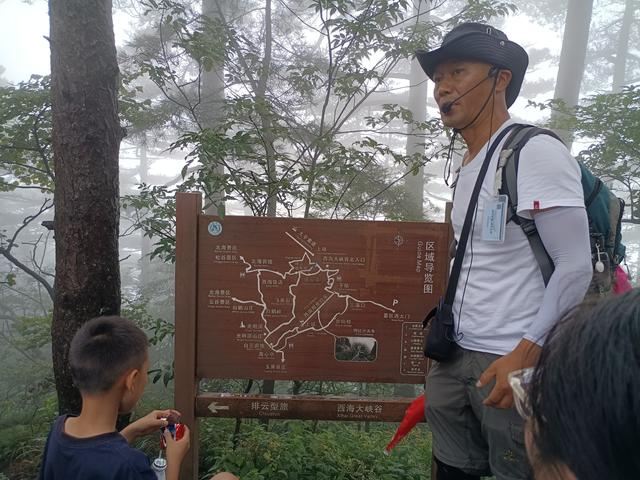 黄山一日游：在奇景与人心间丈量性价比