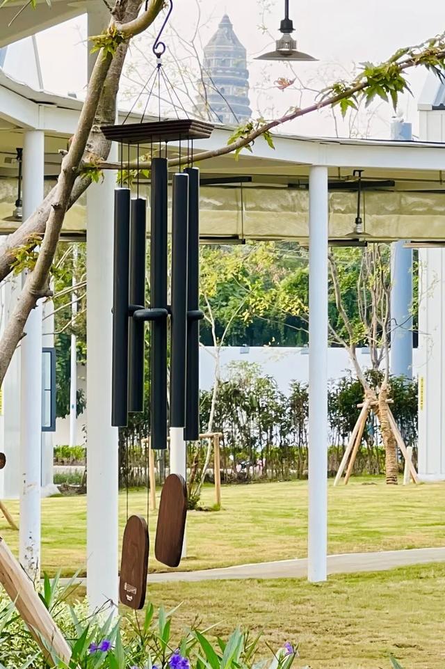 虎丘山下，“花事”再续