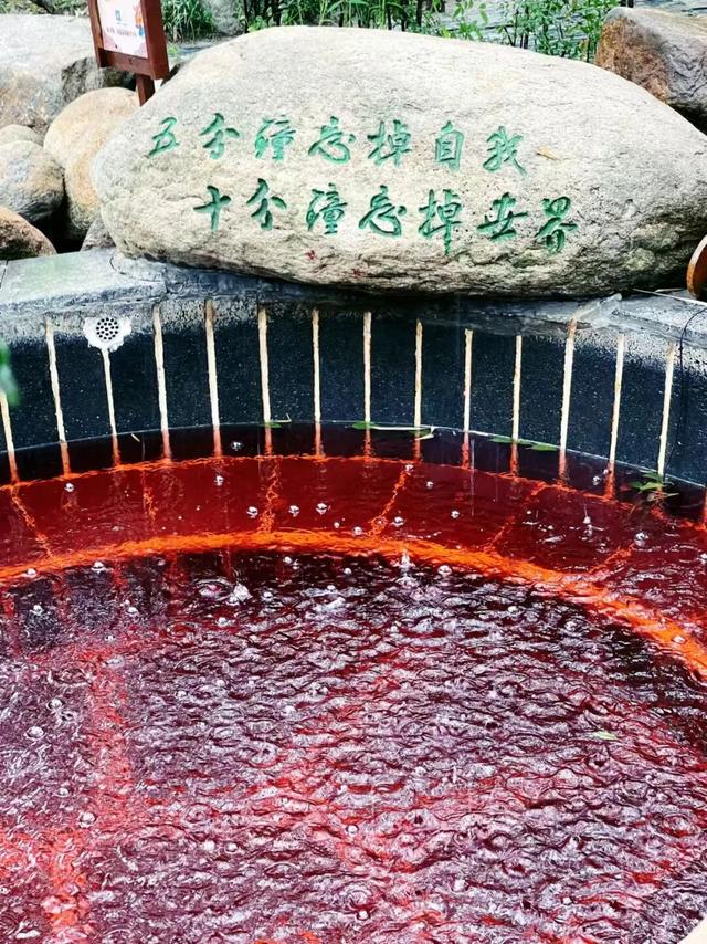 腊八启年味，粥香漫沂蒙！临沂腊八粥暖透八方客