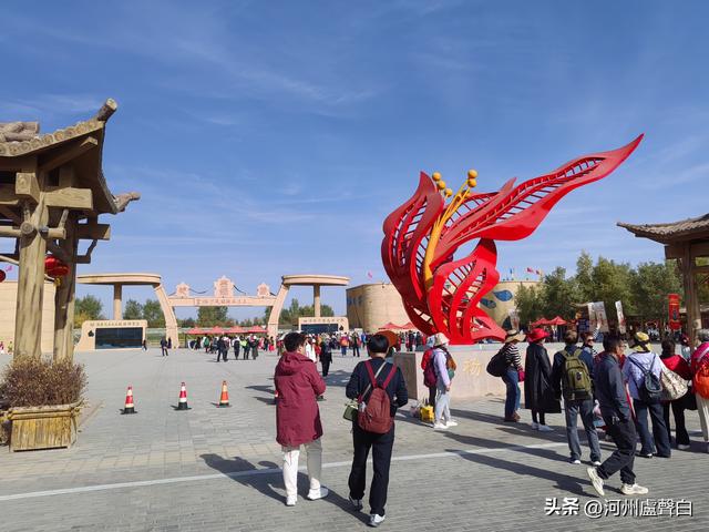 金塔胡杨林