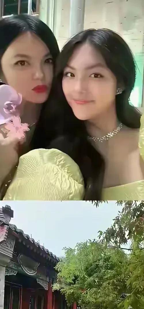 李湘在平台晒自家北京小院，大到让网友以为是景区，真的太有钱了