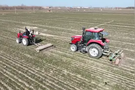 保定市414.18万亩冬小麦越冬情况好于常年 一二类麦比例超九成图片