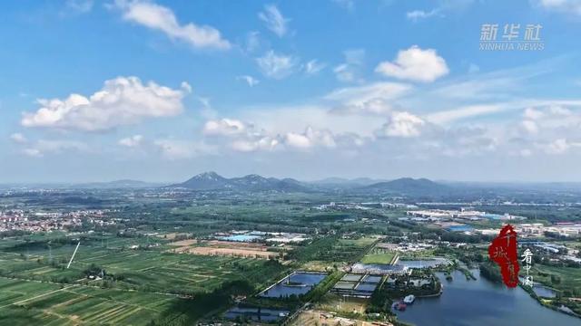 新华社报道山东临沭