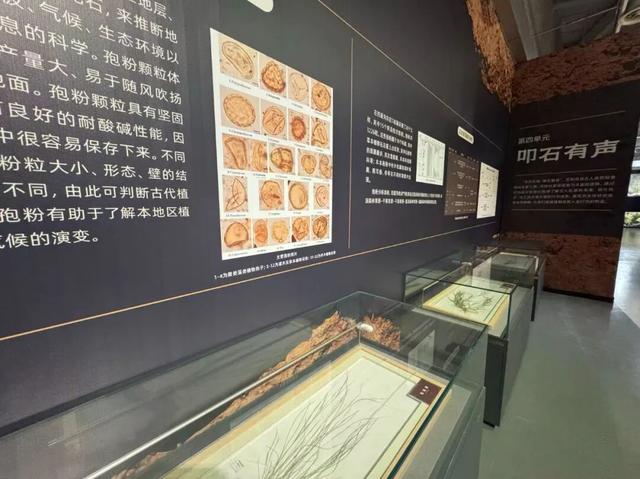 明天，呼和浩特的“宝贝”要去北京“出差”了……
