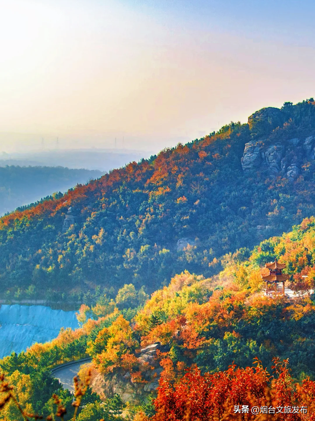 【乐游烟台】不开玩笑！烟台也有绝美油画彩林