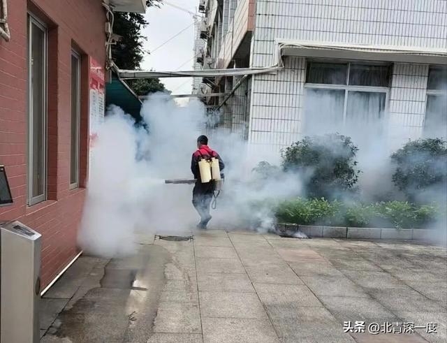 佛山与蚊子缠斗的一个月