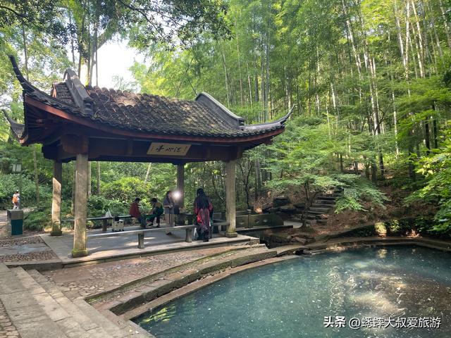 号称“杭州最雅致景点”来过吗？以竹海取胜，还有着隐藏玩法！