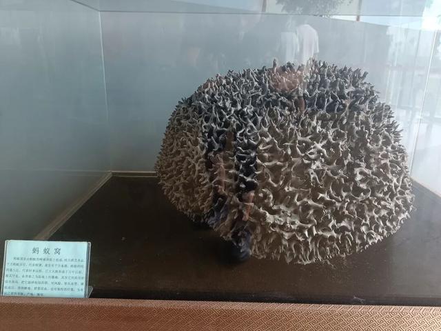 西安世博园珍宝博物馆