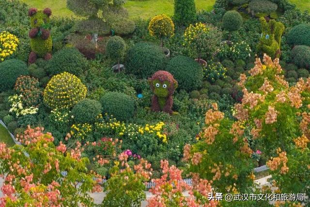 武汉今秋最大花展，限时一个月，免费！