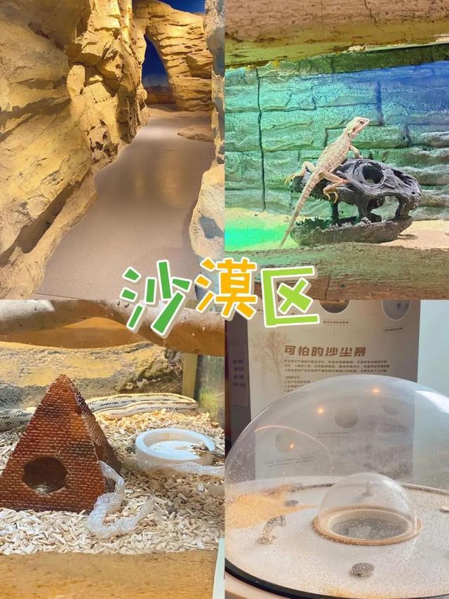 青岛市第一高楼的浪漫，坐拥城市至高视点……