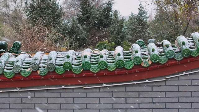 广饶今冬初雪，如约而至！太梦幻了！