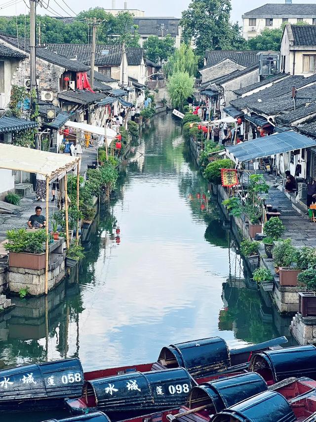 绍兴文旅也没想到，投诉鲁迅墙画的孙女士，竟给鲁迅故里做了嫁衣