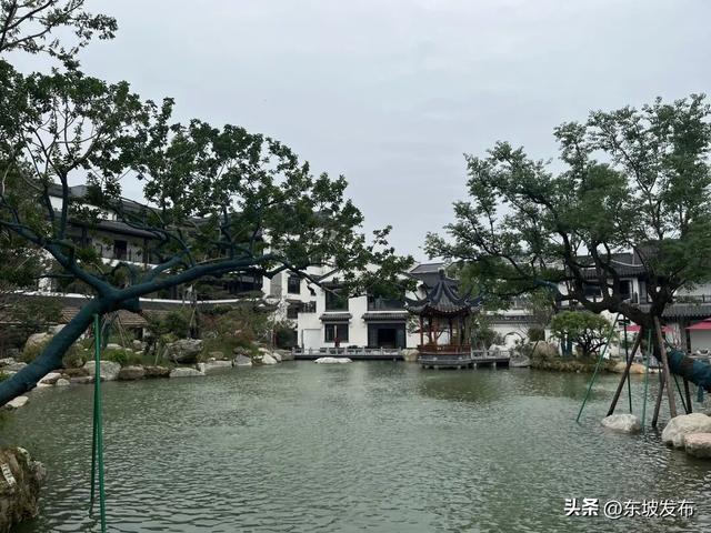 东坡又一个文旅新场景即将亮相→