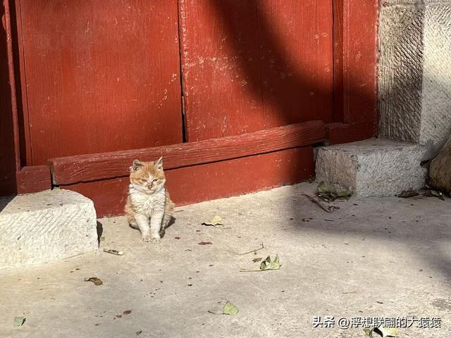 石斑鸠村，一座大山深处有着古老历史和众多红色革命故事的小山村