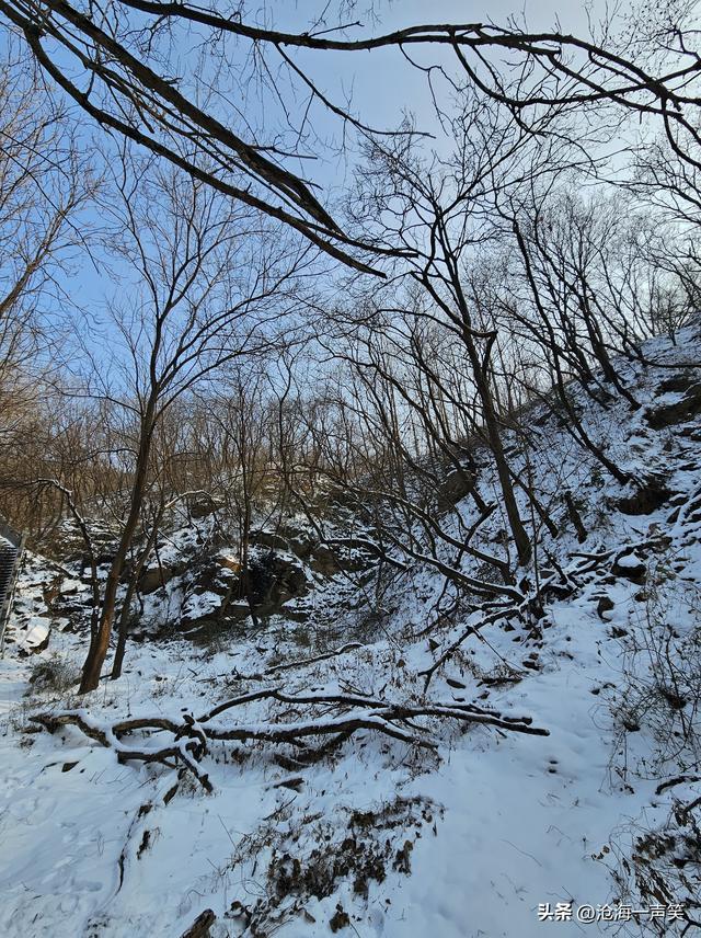 雪山雪地雪景，美树美影美景，蓝天如野美景如画，一切尽在不言中