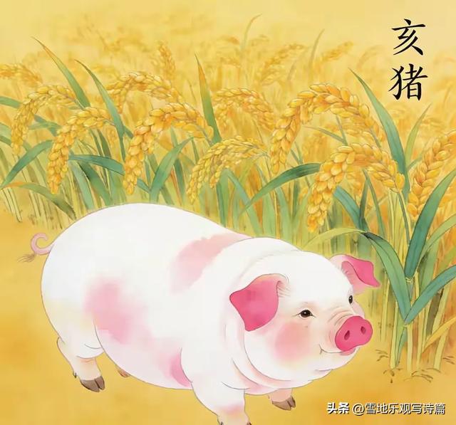 生肖猪：1月下旬，有三件大事！尤其第三件，可能有人要翻脸