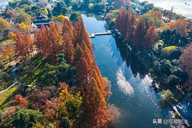 南京秋景别只挤栖霞山！本地人私藏5处免费秘境，现在去正好