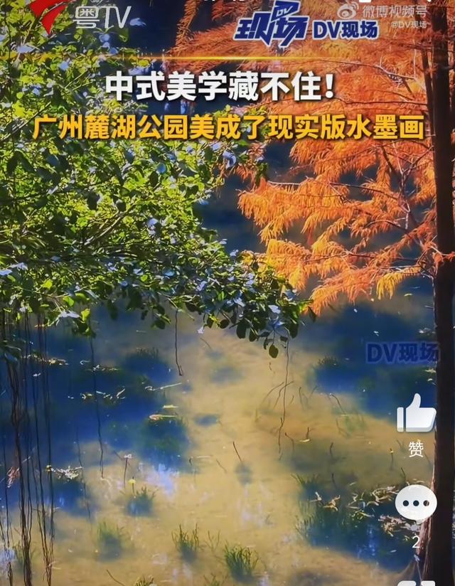 广州公园藏着一幅活水墨画：中式美学原来在身边