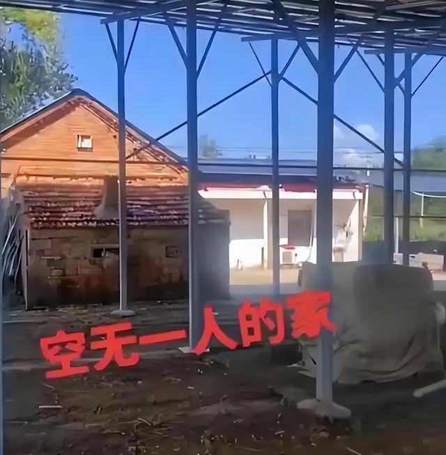 半年从神坛跌落，姜萍全家“蒸发”，她的下落成了网络最大悬案