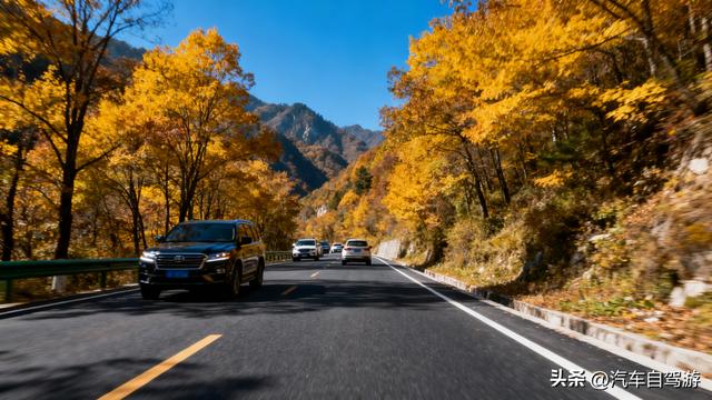 守护秦岭秋冬之美！陕西省旅行社协会自驾游专委会发生态旅行倡议