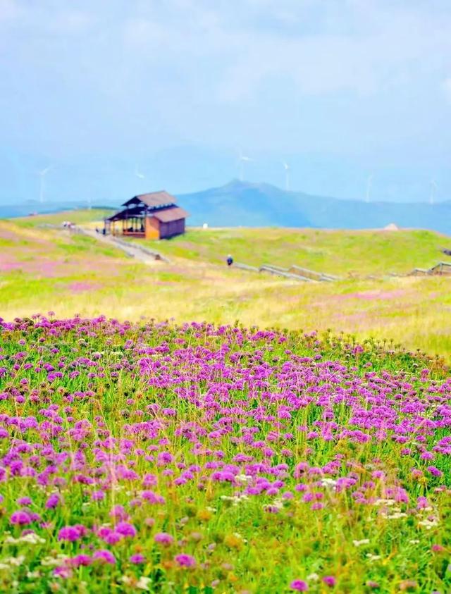避开人潮！高铁直达20℃冷门小城，花海美过川西、地质景观顶级！16元炫资格美食！