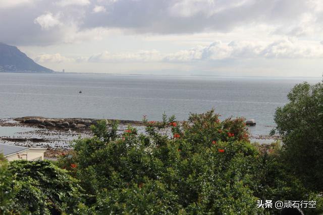 南部非洲：南非开普敦企鹅岛