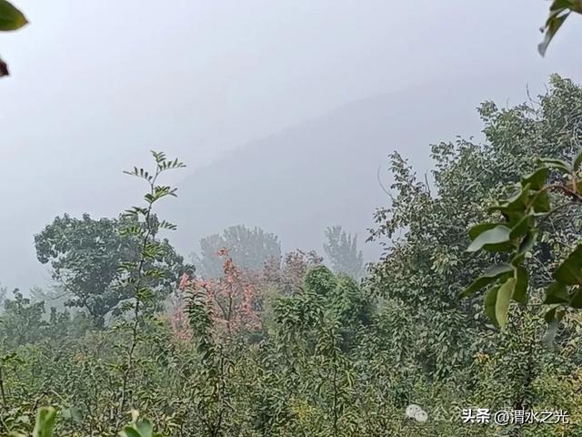 【陕西】樊斌生：秋眺南原景色浓