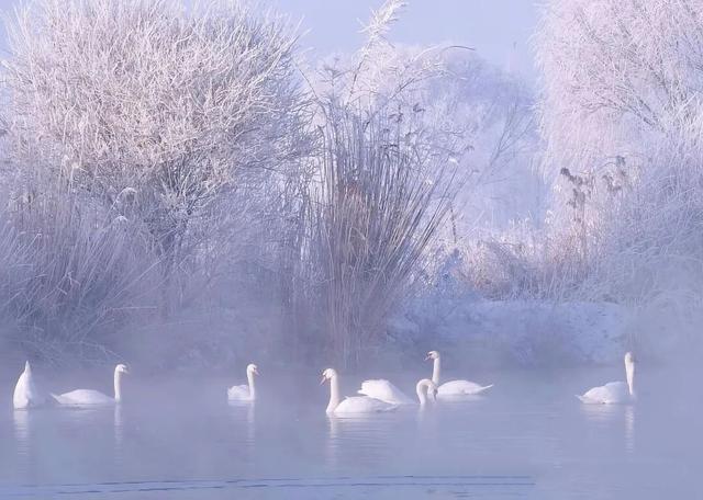 新疆的冬天更浪漫