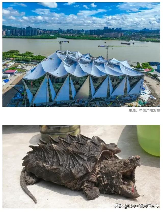 南沙大帐篷又有新外号？这次还是挺符合灵山岛的