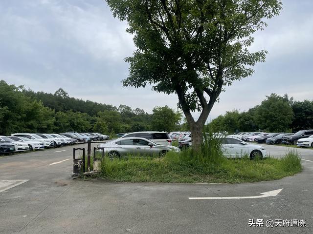 晓哥说天府第115期——天府新区哪个区域适合大型文旅项目落地？