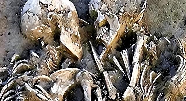伊朗一对情侣，躲进谷仓中拥吻，被人发现时，已经吻了2800年