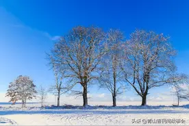邻居梦到发小跟他要新衣服，回村打听后村民都觉得这事不简单！图片