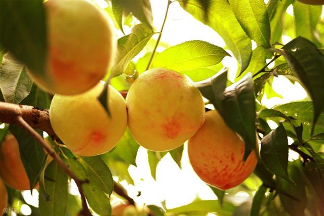 怀来县 镶嵌在燕山山脉与官厅水库间的县域宝地，景观丰富多样