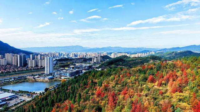 2025利州秋色，每一帧都是限定浪漫