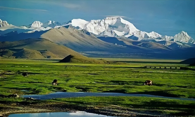 【G219国道城镇文旅系列】西藏日喀则定日县：珠峰脚下的文旅IP——从世界之巅到雪域明珠的全域行旅