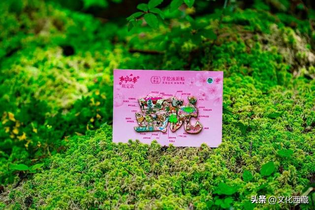 不允许还有人不知道！春天这样收藏微缩版西藏墨脱，太绝了！