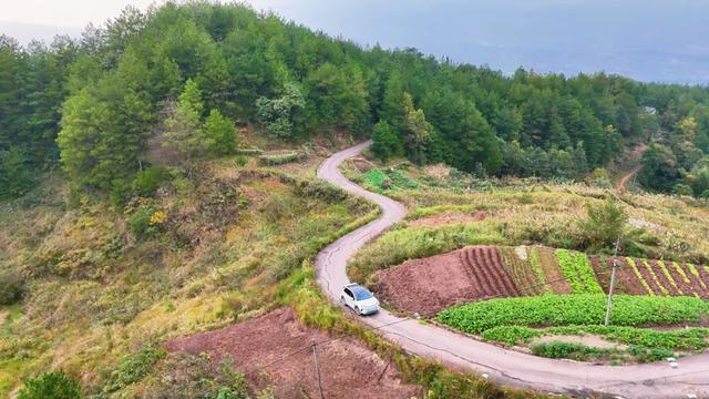 乡间行记：驱车穿行插腊村到岳溪镇，在弯弯山路中找回遗忘的时光