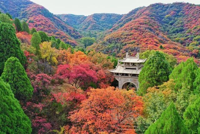 周末出发！济南这条自驾线路串起古建、名泉、红叶，美极了！