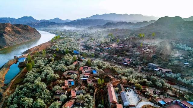 【白银文旅】梨花盛开，春日赴约！大庙村直接美成壁纸