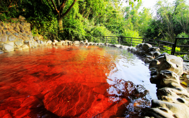 首次发布！弥勒2地2酒店上榜！