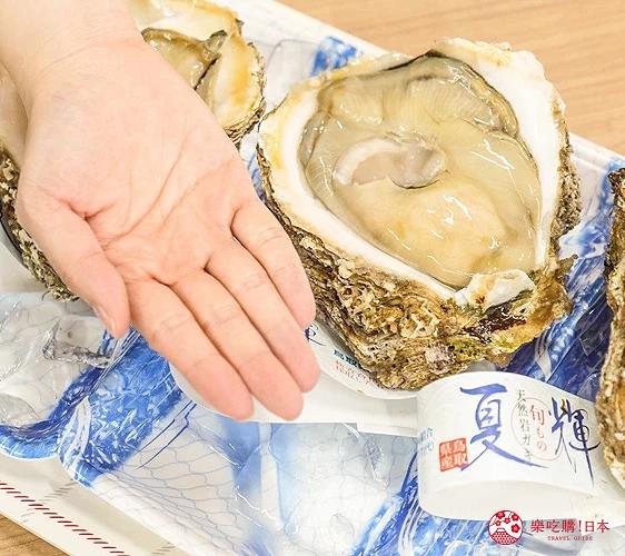 「鸟取县」夏天自驾游：景点、美食，3天2夜行程规划一次看！