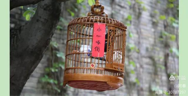 濮院时尚古镇