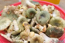 【春城18时周刊】雨水至，夏已立，接下来的云南是这样的......图片