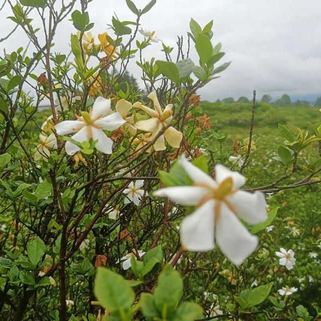 秋冬遛娃“药”新鲜!能吃能玩还能“养”,这条游玩路线一站式拿捏