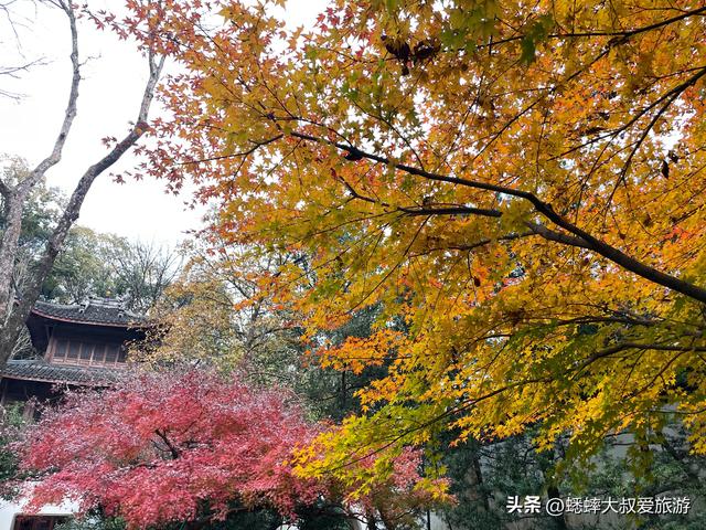 这个杭州公园不得了，被美人填满，拥有绝美枫景，已成浪漫打卡地