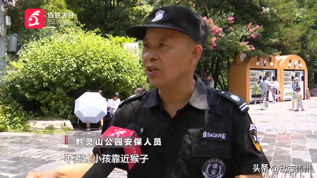 “你打猴我就打你”环卫工驱猴被游客怒斥，黔灵山公园工作人员