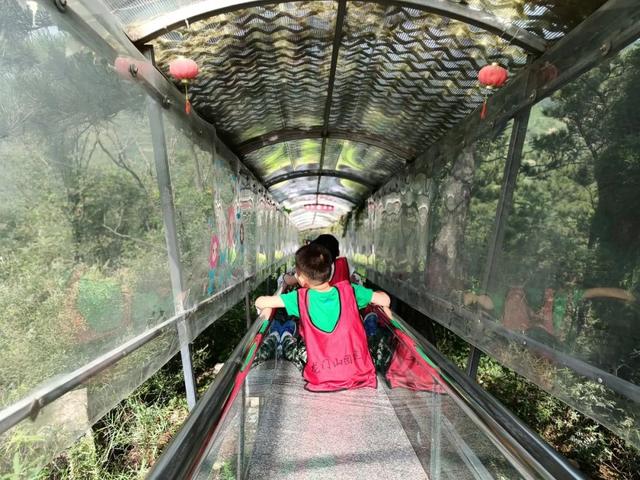 济南这片“会呼吸的森林”真的不太一样，趁暑假结束前快来一趟吧！
