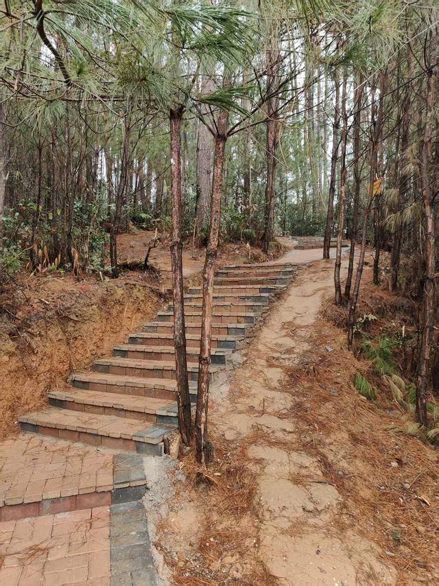 回访凯里动物园：山路铺上石砖，园内新雇7名工人，成为当地文旅地标和研学点