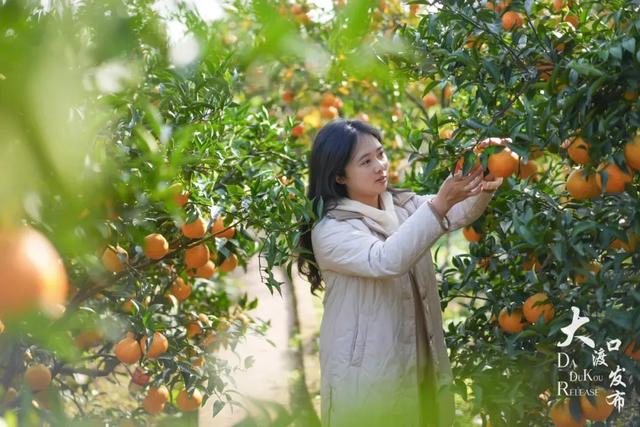 周末不忙,去趟大渡口